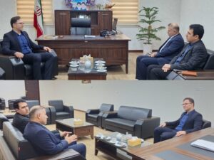 فرماندار تنگستان: توسعه پایدار نیازمند همکاری مؤثر تمامی دستگاه‌ها است