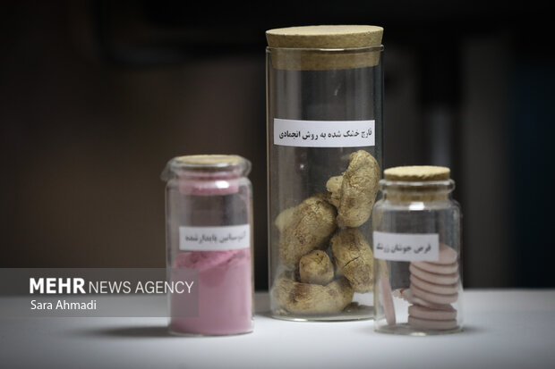 نمایشگاه هفته پژوهش و فناوری