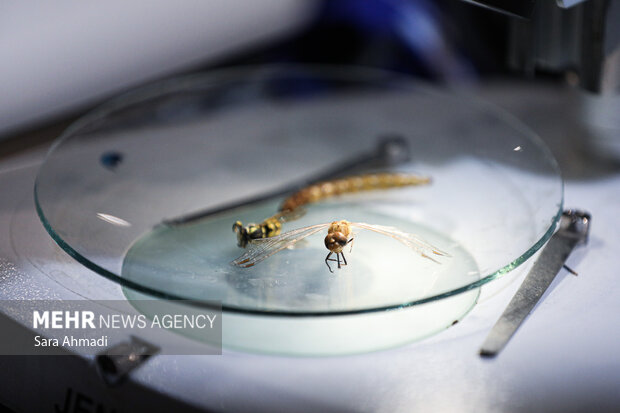 نمایشگاه هفته پژوهش و فناوری