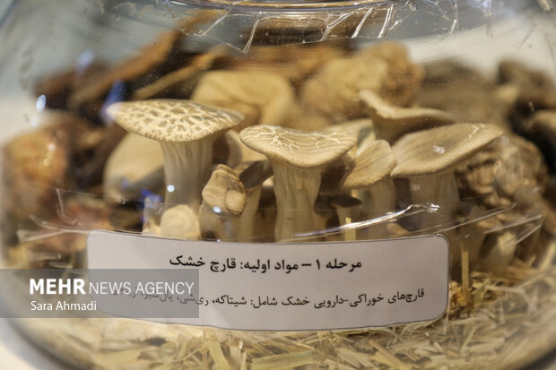 نمایشگاه هفته پژوهش و فناوری