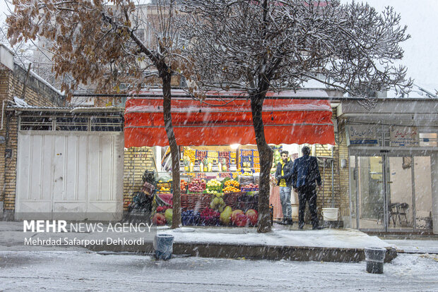 شهرکرد، بام ایران سفید پوش شد