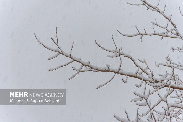 شهرکرد، بام ایران سفید پوش شد