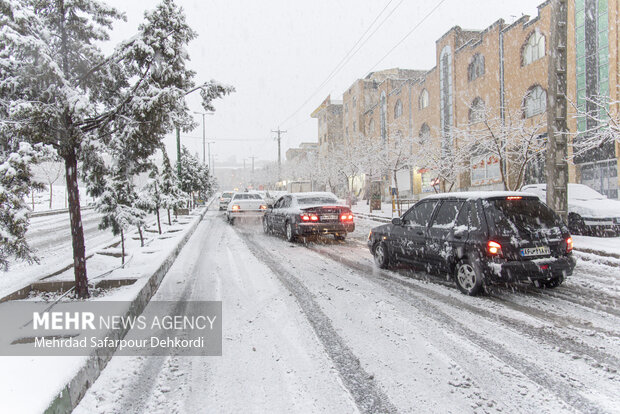 شهرکرد، بام ایران سفید پوش شد