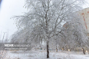 دیلمان سفیدپوش شد