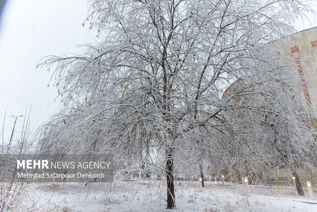 شهرکرد، بام ایران سفید پوش شد