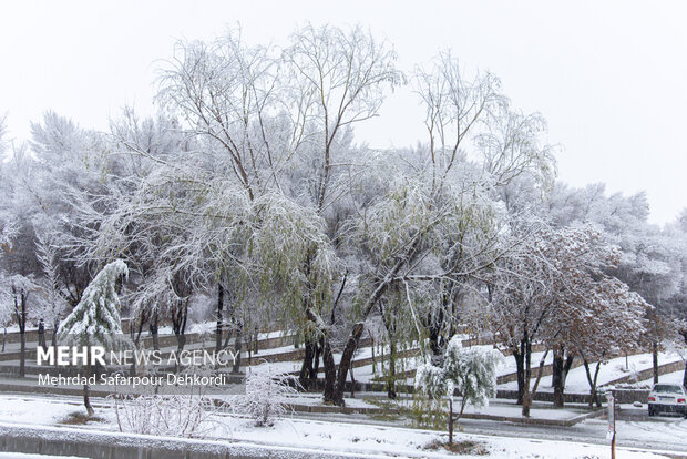 شهرکرد، بام ایران سفید پوش شد