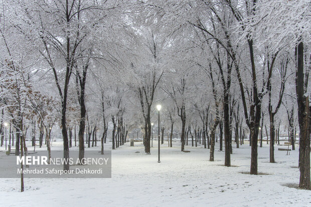 شهرکرد، بام ایران سفید پوش شد