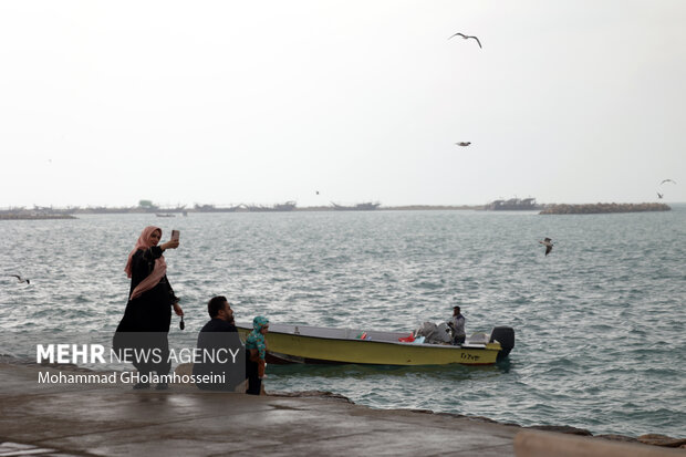 باران پاییزی در بوشهر