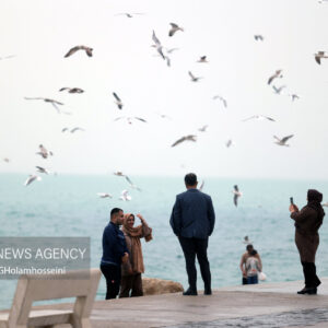 بارش باران پاییزی در بوشهر