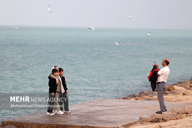 باران پاییزی در بوشهر