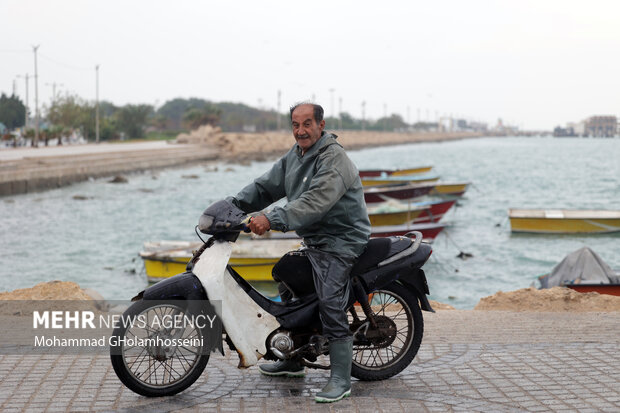 باران پاییزی در بوشهر