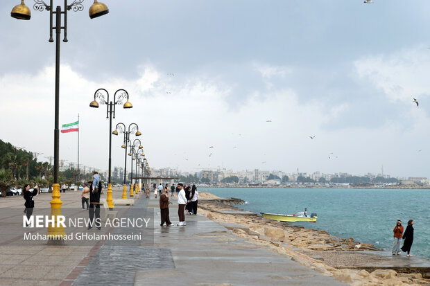 باران پاییزی در بوشهر