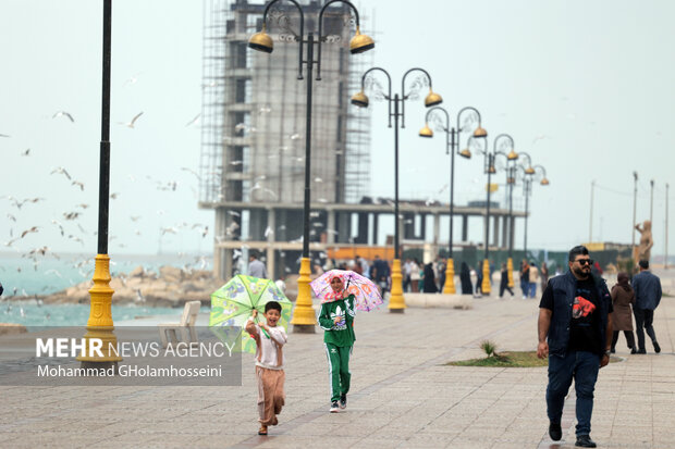 باران پاییزی در بوشهر