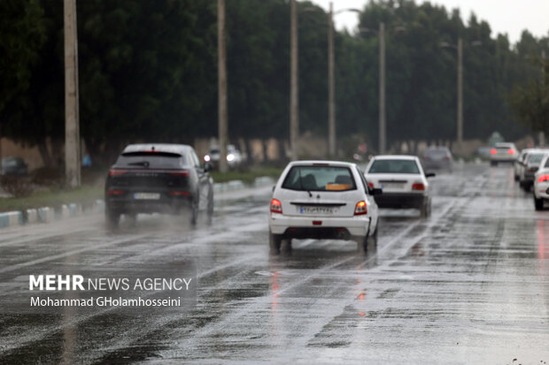 باران پاییزی در بوشهر