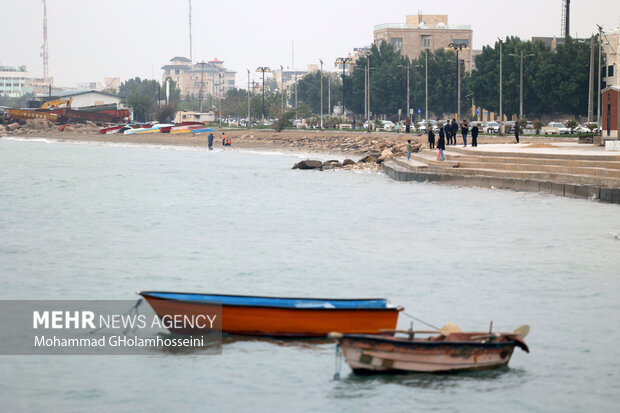 باران پاییزی در بوشهر