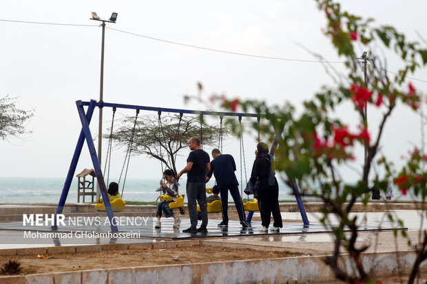 باران پاییزی در بوشهر