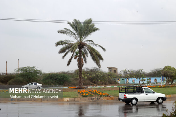 باران پاییزی در بوشهر