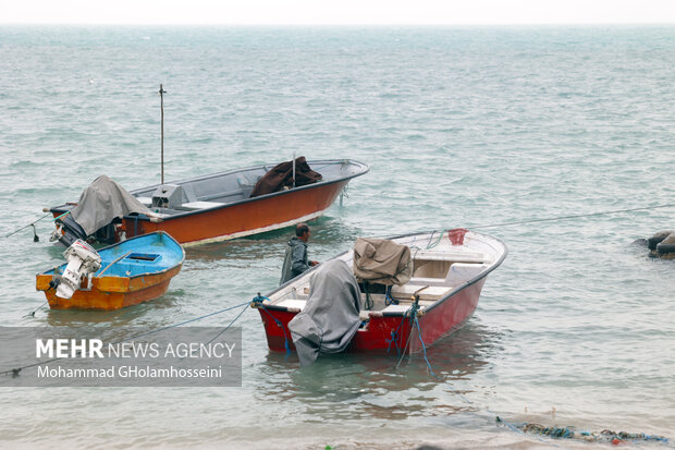 باران پاییزی در بوشهر