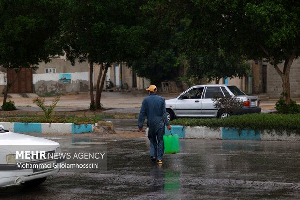 باران پاییزی در بوشهر