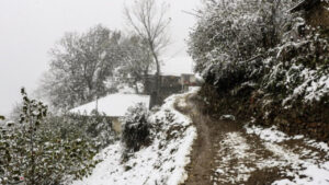 بارش برف در روستای اره چاک اشکور