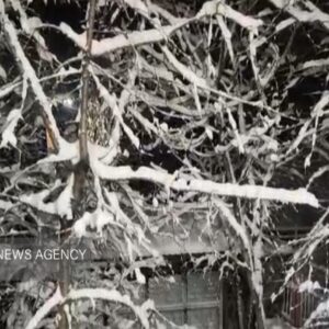 بارش برف در گلیل شیروان آغاز شد