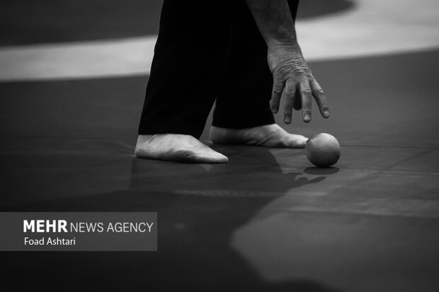 فینال لیگ برتر کشتی آزاد