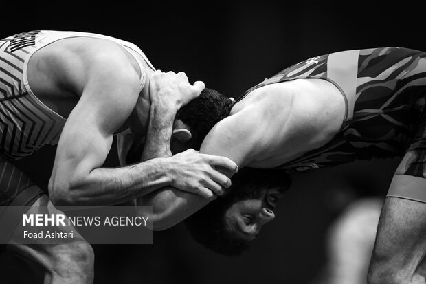 فینال لیگ برتر کشتی آزاد