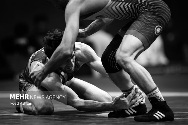 فینال لیگ برتر کشتی آزاد