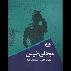 آسیب شعر امروز، از روی هم نویسی است/ نماینده زنان معمولی جامعه‌ام