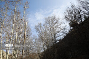 اثمری: دمای مشهد در سردترین ساعات به ۳ درجه خواهد رسید