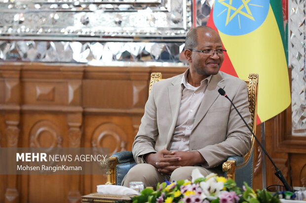 دیدار رئیس مجلس اتیوپی با رئیس مجلس شورای اسلامی