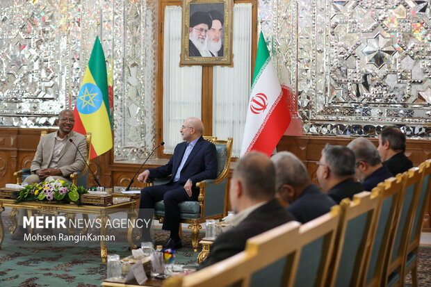 دیدار رئیس مجلس اتیوپی با رئیس مجلس شورای اسلامی