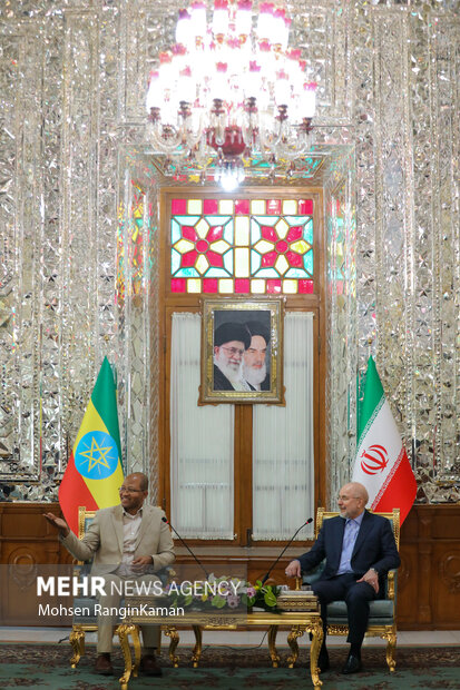 دیدار رئیس مجلس اتیوپی با رئیس مجلس شورای اسلامی