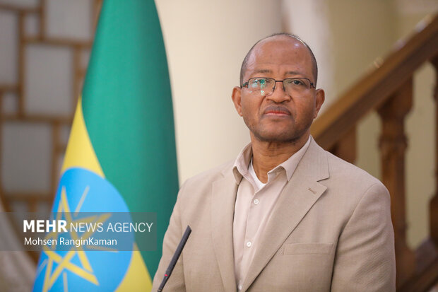 دیدار رئیس مجلس اتیوپی با رئیس مجلس شورای اسلامی