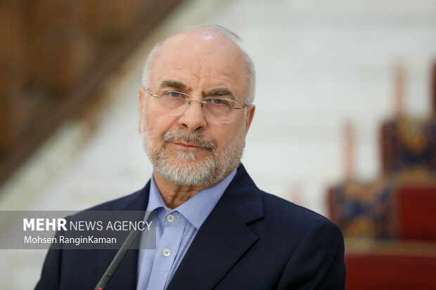 دیدار رئیس مجلس اتیوپی با رئیس مجلس شورای اسلامی