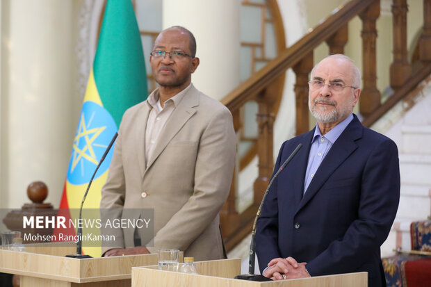 دیدار رئیس مجلس اتیوپی با رئیس مجلس شورای اسلامی