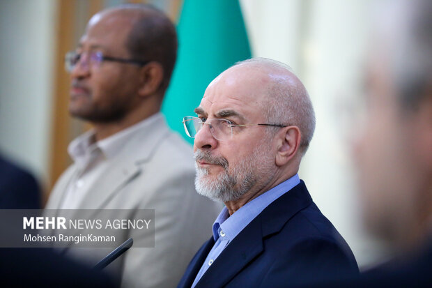 دیدار رئیس مجلس اتیوپی با رئیس مجلس شورای اسلامی