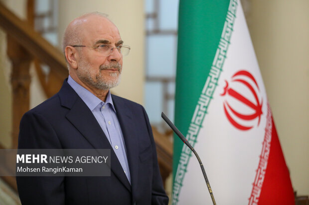 دیدار رئیس مجلس اتیوپی با رئیس مجلس شورای اسلامی