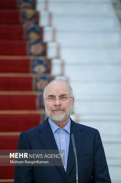 دیدار رئیس مجلس اتیوپی با رئیس مجلس شورای اسلامی