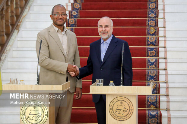 دیدار رئیس مجلس اتیوپی با رئیس مجلس شورای اسلامی