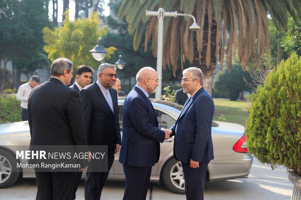 دیدار رئیس مجلس اتیوپی با رئیس مجلس شورای اسلامی