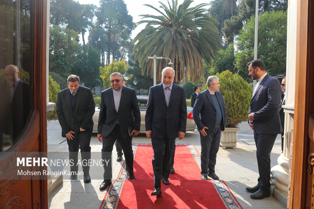 دیدار رئیس مجلس اتیوپی با رئیس مجلس شورای اسلامی