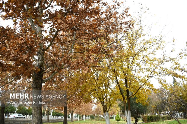 اولین بارش پاییزی باران در بیرجند