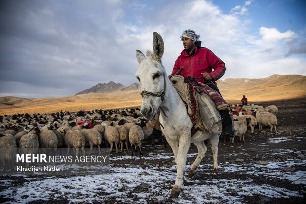 یکی از چوپانان روستای حسن رباط اصفهان