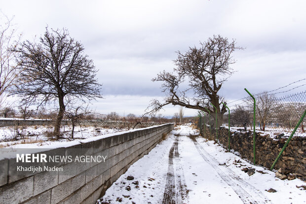 کوچه باغ های روستا
