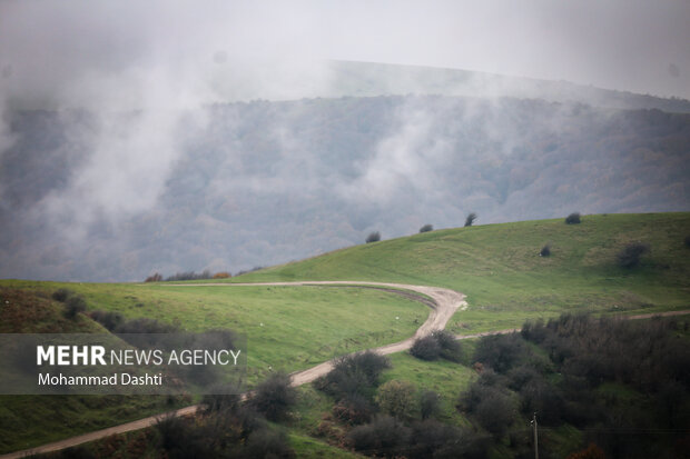 پاییز در جنگل فندقلو نمین