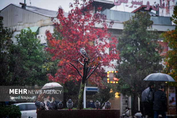 بارش باران پاییزی در رشت