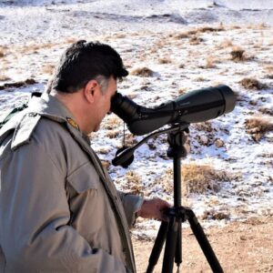 سفیدی:سرشماری زمستانه پستانداران در زیستگاه‌های اردبیل آغاز شد