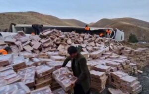 واژگونی کشنده یخچال‌دار در محور سنندج – کامیاران