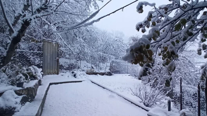 بارش برف اشکور رودسر را سفیدپوش کرد